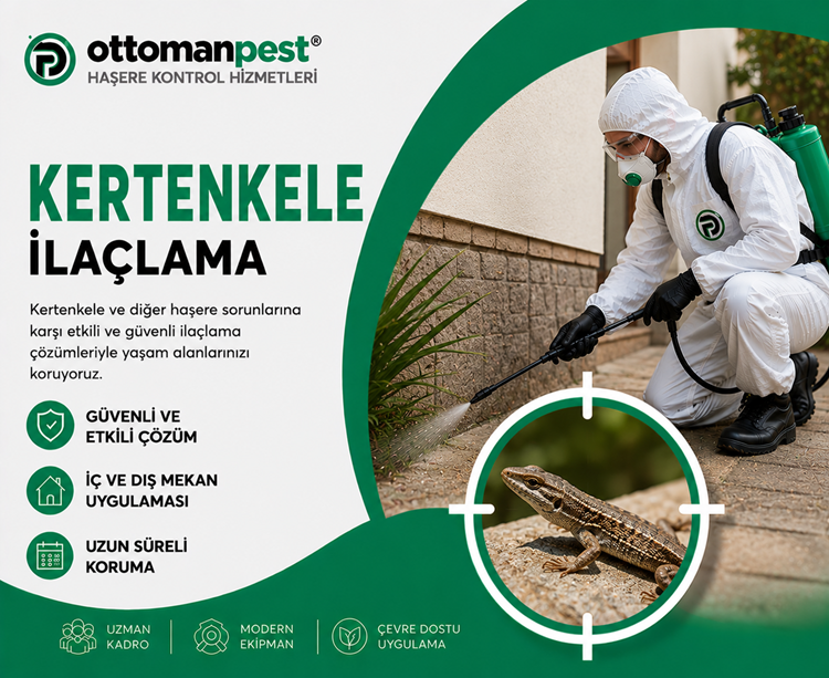 Kertenkele İlaçlama