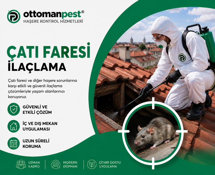 Çatı Faresi İlaçlama