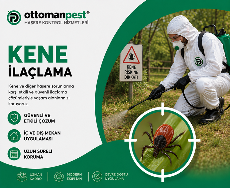 Kene İlaçlama