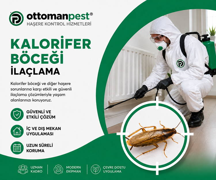 Kalorifer Böceği İlaçlama