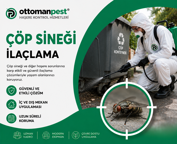 Çöp Sineği İlaçlama