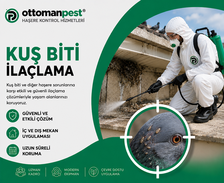 Kuş Biti İlaçlama