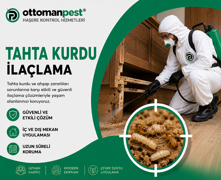Tahta Kurdu İlaçlama