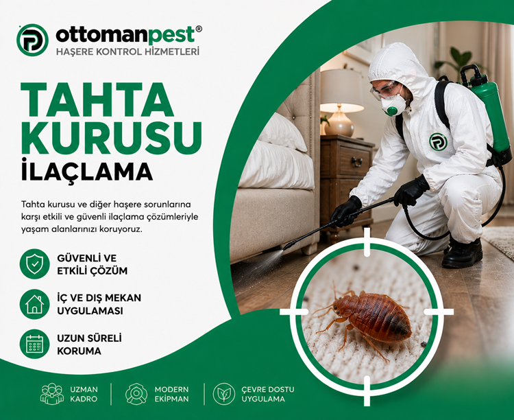 Tahta Kurusu İlaçlama