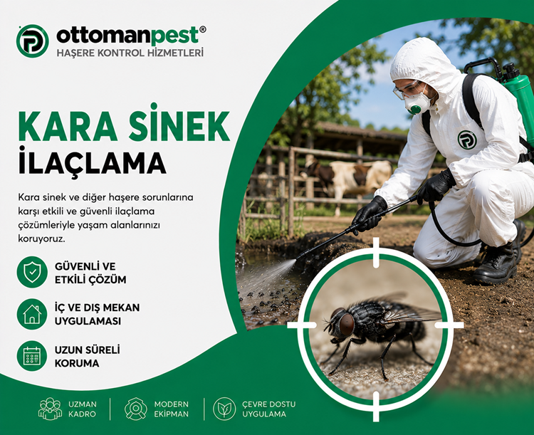 Kara Sinek İlaçlama
